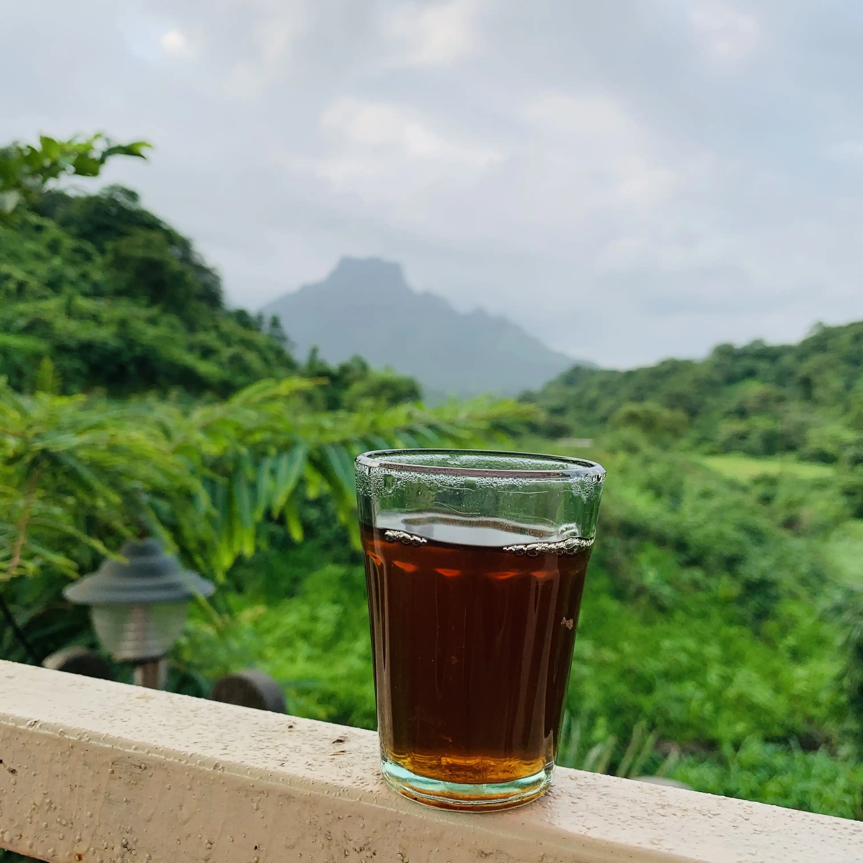 Chai View From Orchidoaks at Orchid Oaks Homestead Panvel